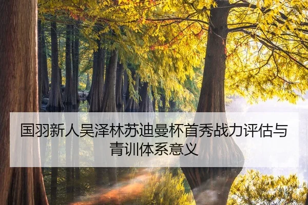 guo-yu-xin-ren-wu-ze-lin-su-di-man-bei-shou-xiu-zhan-li-ping-gu-yu-qing-xun-ti-xi-yi-yi-2-653.jpg